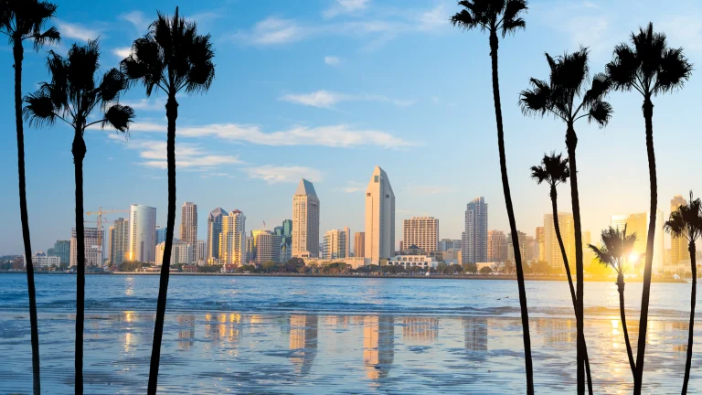San Diego California Palm Trees And Water
