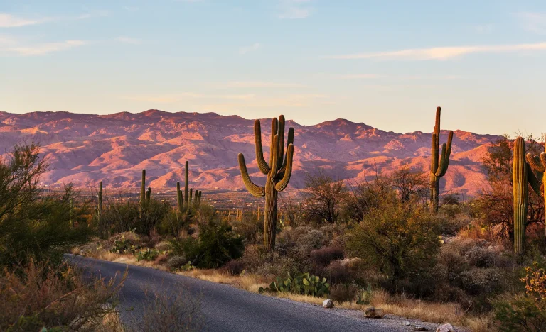 Tucson, Arizona Countryside Scenery At Dawn